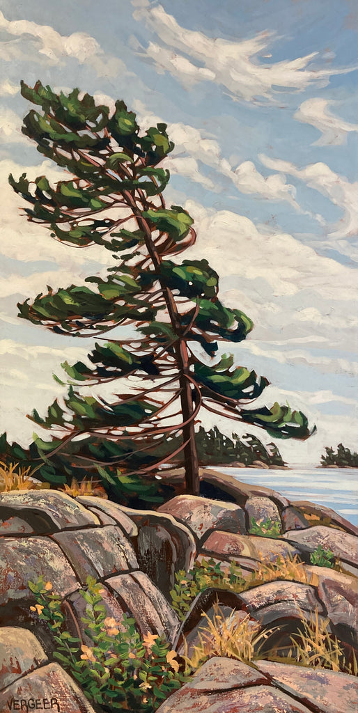 Granite Island Windswept 11 - 48x24