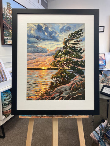 Granite Island Windswept 5 Fine Art Print