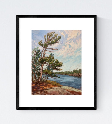 Regatta Bay Windswept, Signed Limited Edition Print