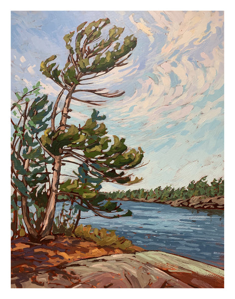 Regatta Bay Windswept, Signed Limited Edition Print