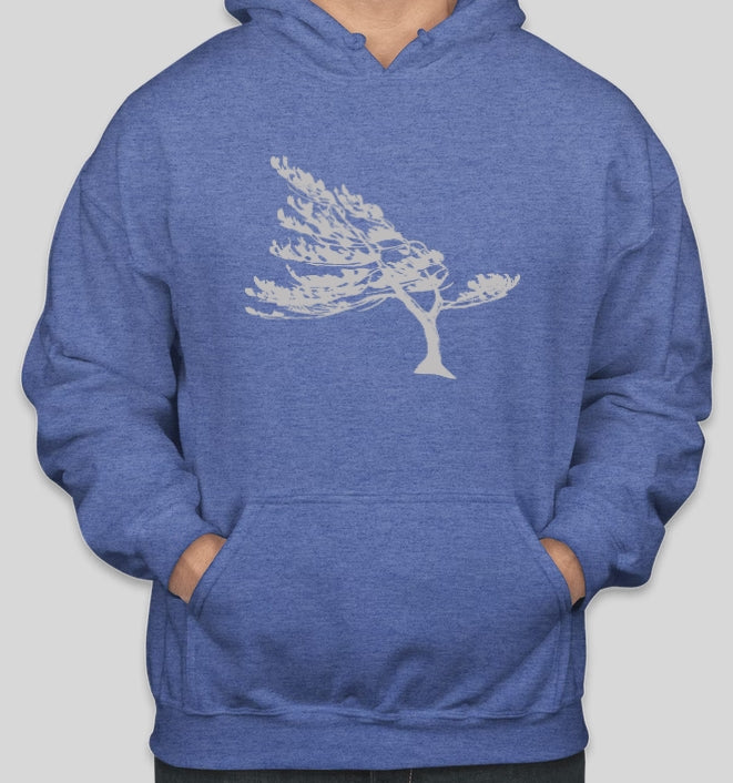 Kilbear Windswept Unisex Hoodie in Heather Royal