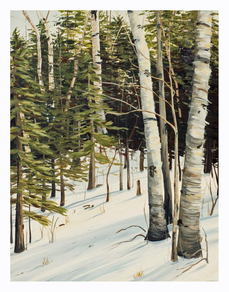 Winter Birches, Signed Limited Edition Print