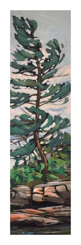 Big Bold Tree Fine Art Print 01
