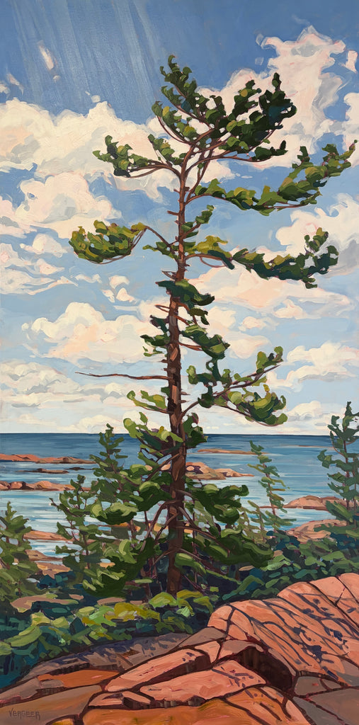 Chikanishing Trail Windswept 2 - 60x30