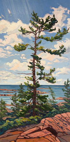 Chikanishing Trail Windswept 2 - 60x30