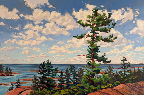 Chikanishing Trail Windswept 3 - 40x60