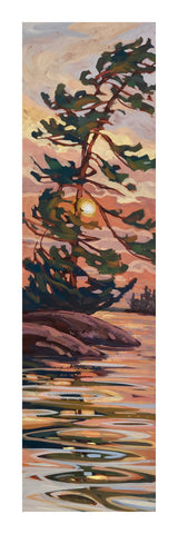 Big Bold Tree Fine Art Print 06