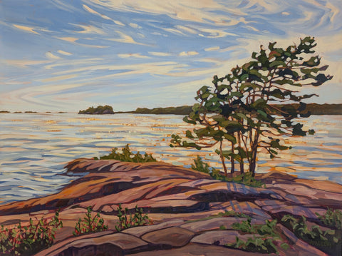 Killbear Park Harold Point Windswept 2 - 30x40