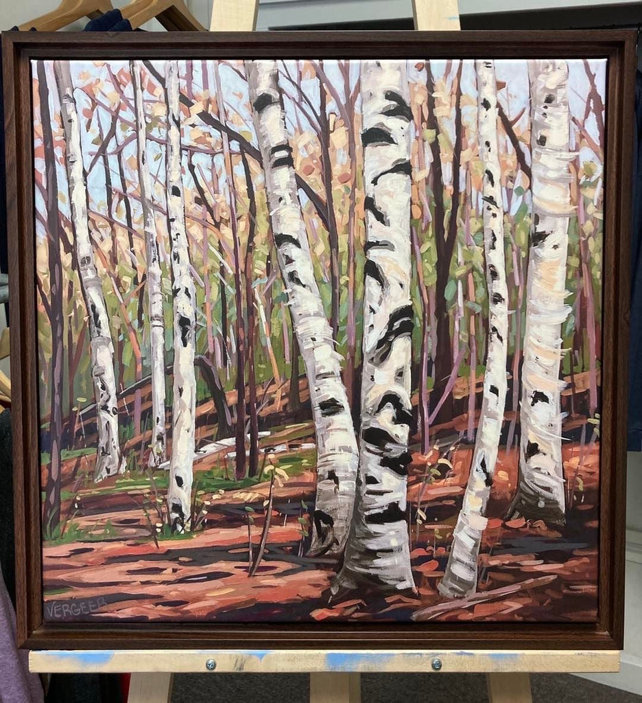 Harmony Lane Birches Framed Canvas Print 20x20