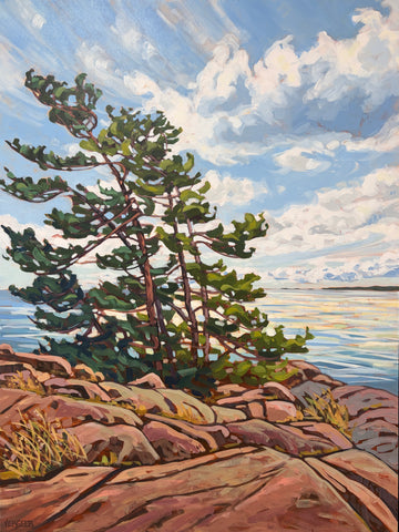 Windswept Near Killarney Provincial Park 2 - 48x36