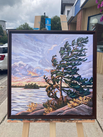 Granite Island Windswept 8 Framed Canvas Print 20x20