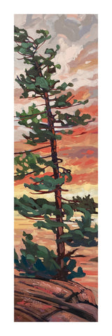 Big Bold Tree Fine Art Print 04
