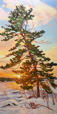 Old Town Beach Windswept 3 - 48x24