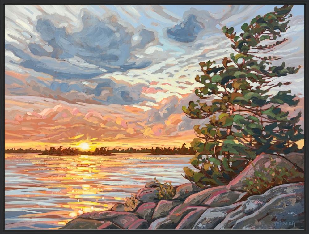 Granite Island Windswept 13 Framed Canvas Print - 30x40