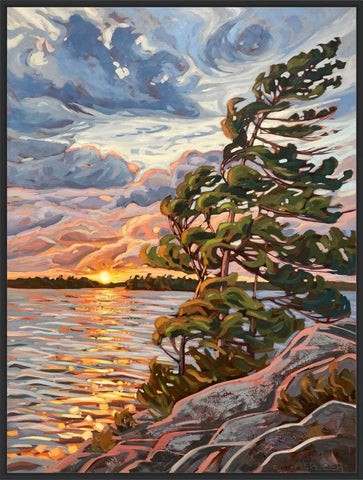 Granite Island Windswept 5 Framed Canvas Print - 40x30