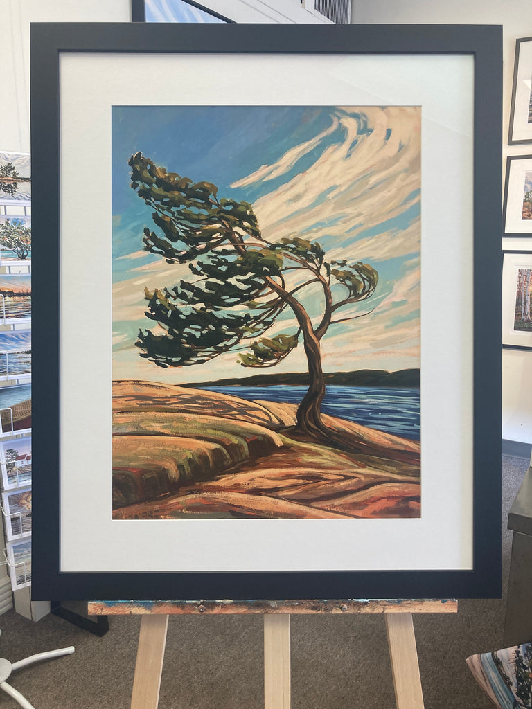 Killbear Park Windswept Fine Art Print