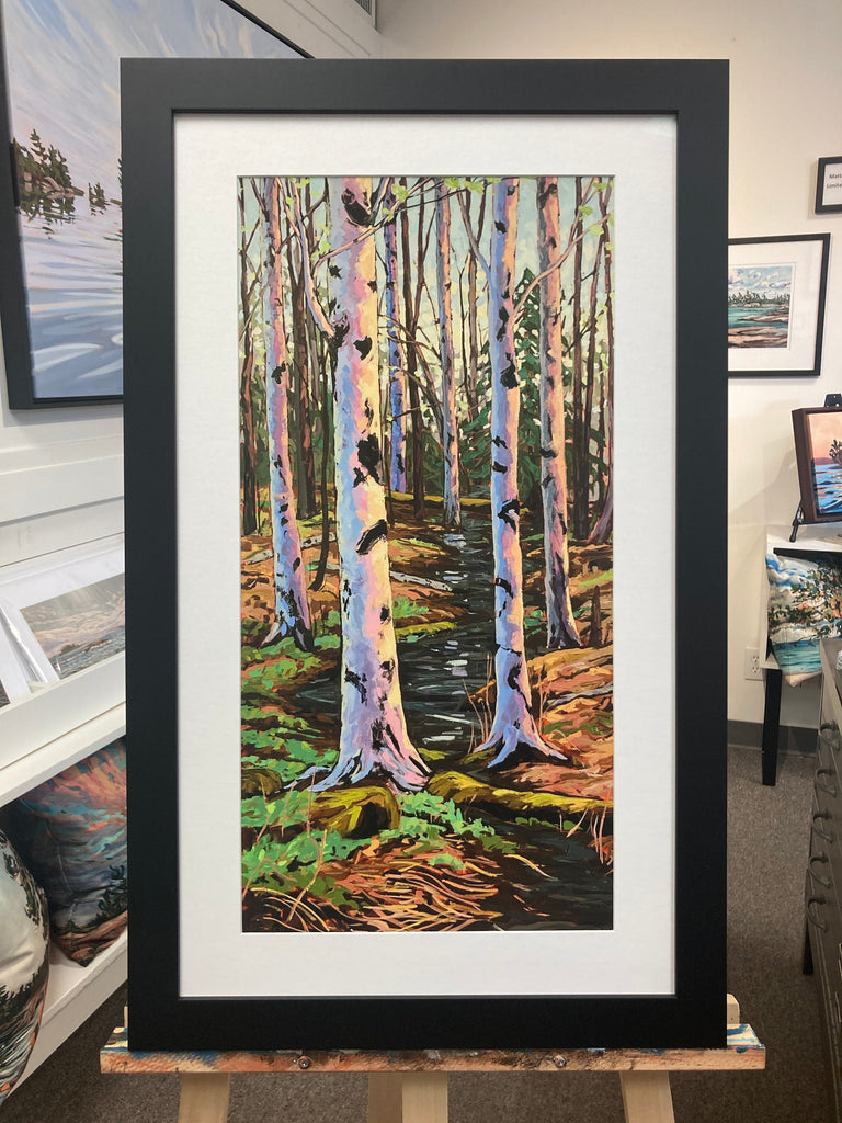 Long Lake Birches Fine Art Print