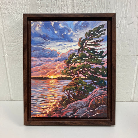 Granite Island Windswept 5 Limited Edition 8x10 Framed Canvas Print