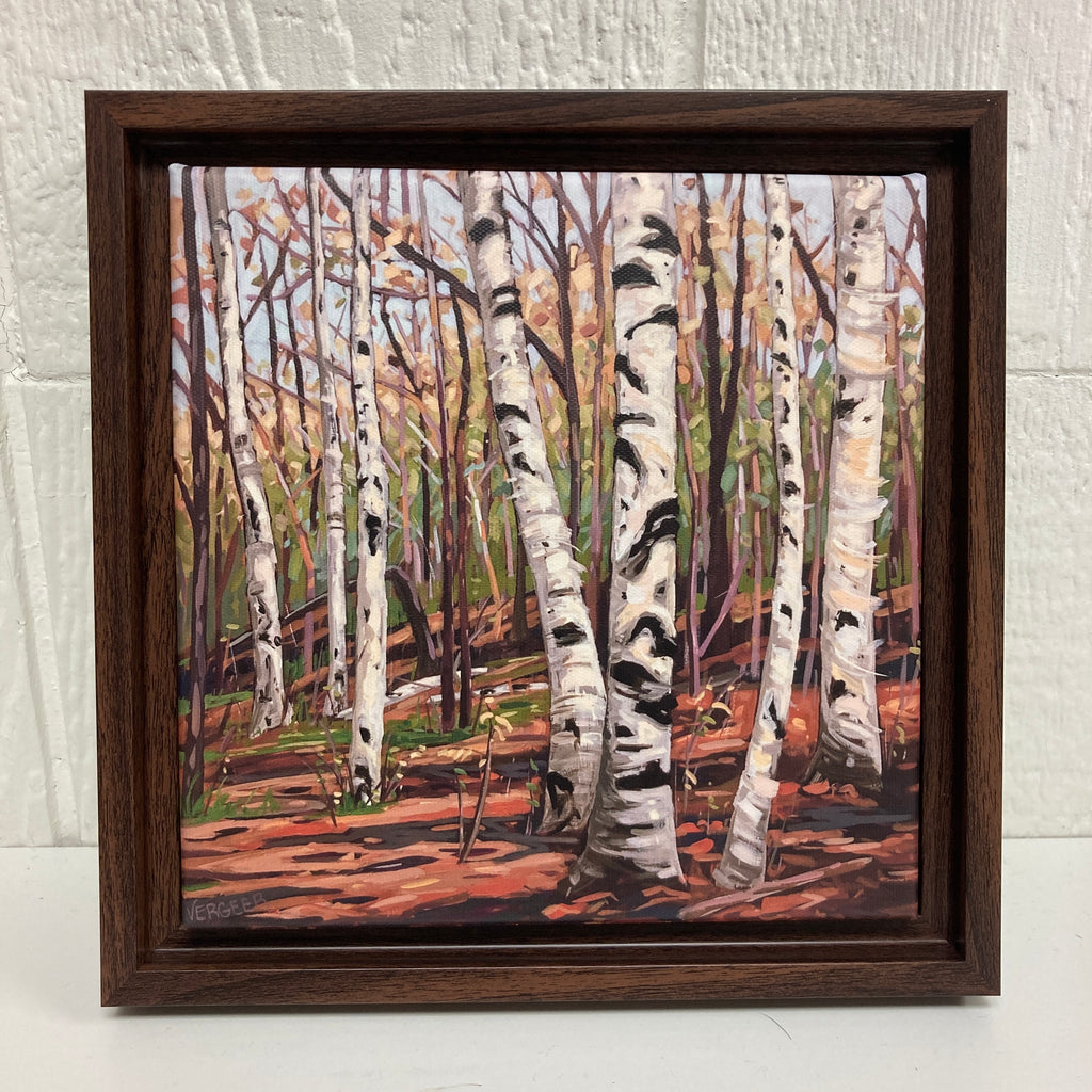 Harmony Lane Birches 3 Limited Edition 8x8 Framed Canvas Print