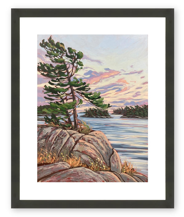 Granite Island Windswept 1 Framed Fine Art Print (Pickup Only)