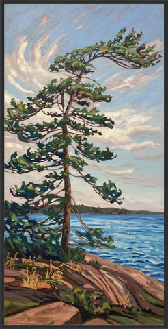 Old Town Beach Windswept Framed Canvas Print - 48x24