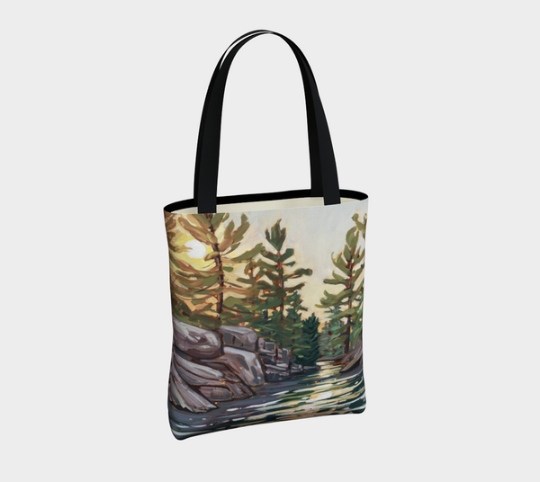 Pointe au Baril Hole in the Wall Simple Market Tote Bag