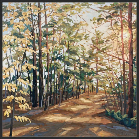 Rugged Trail 2 Framed Canvas Print - 34x34