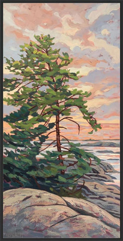 Wah Wah Taysee Sunset 4 Framed Canvas Print - 48x24