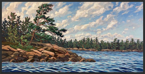 Wreck Island Windswept 7 Framed Canvas Print - 24x48