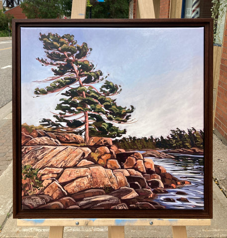 Granite Island Windswept 3 Framed Canvas Print 20x20