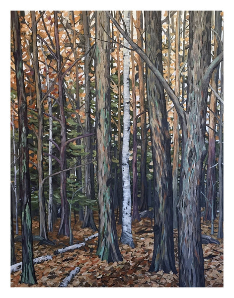The Forest Calm, Signed Limited Edition Print