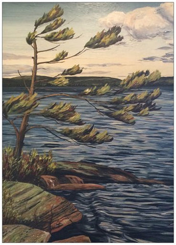 Georgian Bay Windswept Pine Painting Postcard