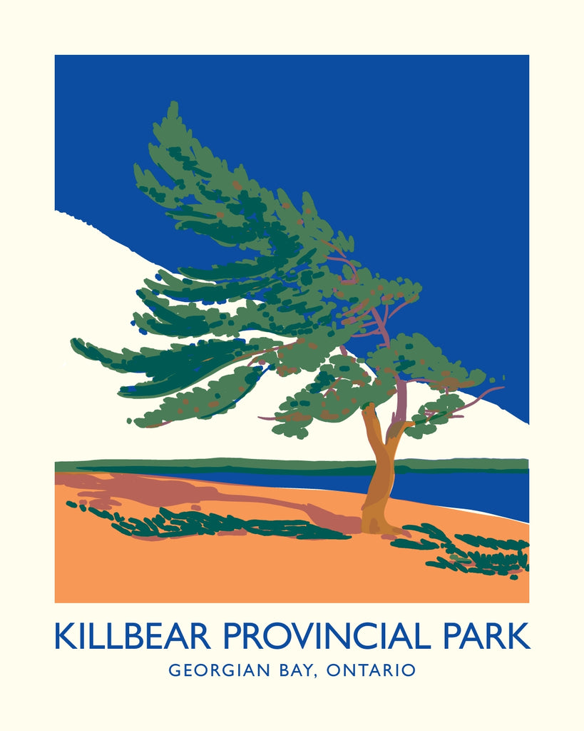 Killbear Provincial Park Windswept Tree Poster