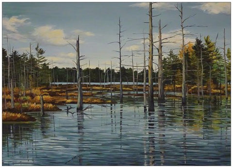 Near Cranberry Lake Painting Postcard