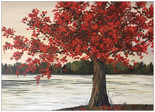 Red Maple Tree Painting Postcard
