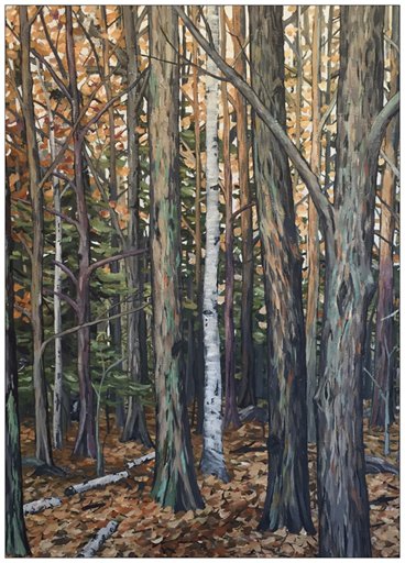 The Forest Calm Painting Postcard