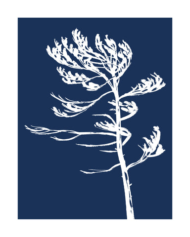 Killarney Provincial Park Windswept Hand-Screened Tree Poster in Marine Blue Framed