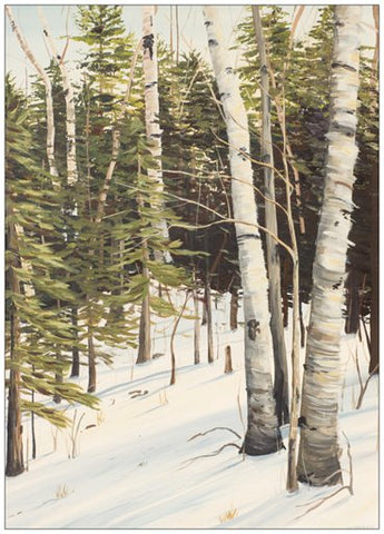 Winter Birches Painting Postcard
