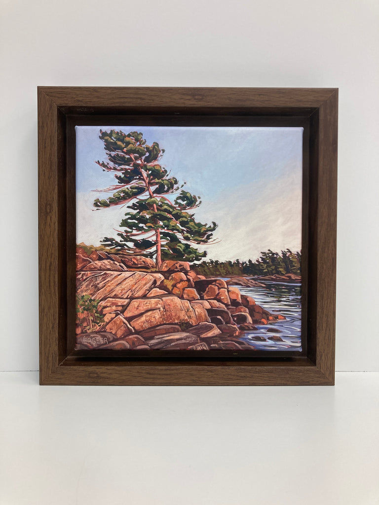 Granite Island WIndswept 3 Limited Edition 8x8 Framed Canvas Print