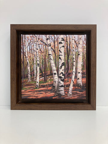 Harmony Lane Birches 3 Limited Edition 8x8 Framed Canvas Print