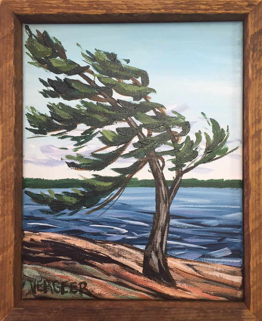 Killbear Provincial Park Windswept Pine 8x10 Framed Painting