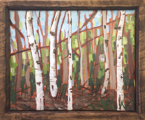 White Birches 8x10 Framed Painting