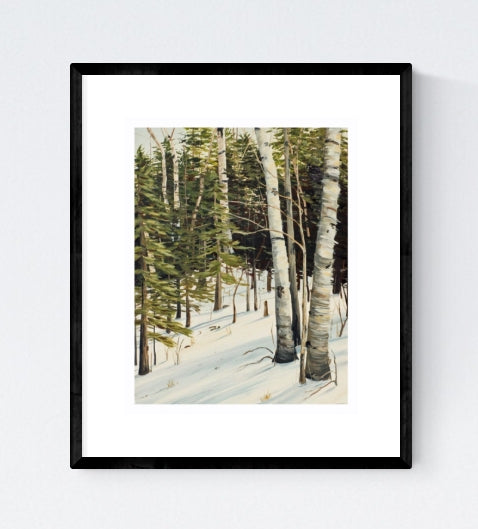 Winter Birches, Signed Limited Edition Print