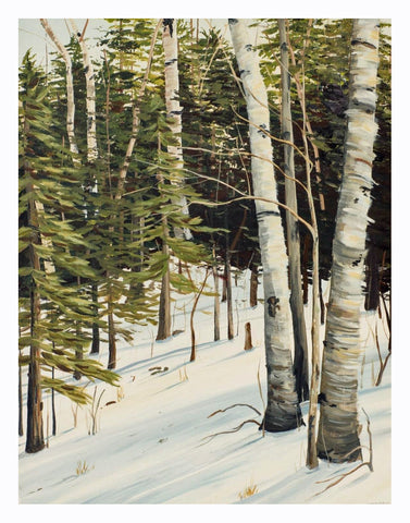 Winter Birches, Signed Limited Edition Print